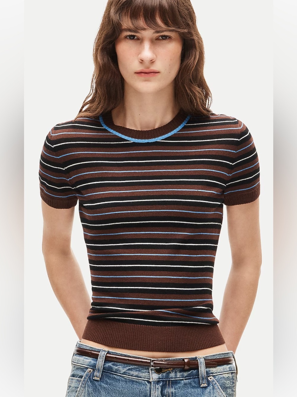 NWTš·J. Crew Sweater Tee in Striped Merino Wool (brown/blue/black/white)